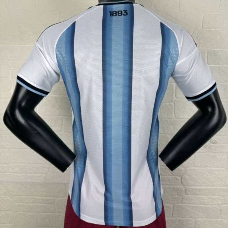 2025/26 Argentina Soccer Jersey Home Custom Football Shirt Player Version
