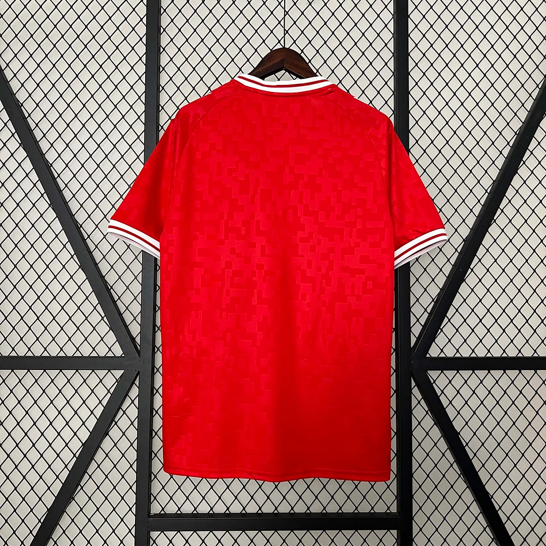 2024 Denmark Soccer Jersey Home Football Shirt Fan version