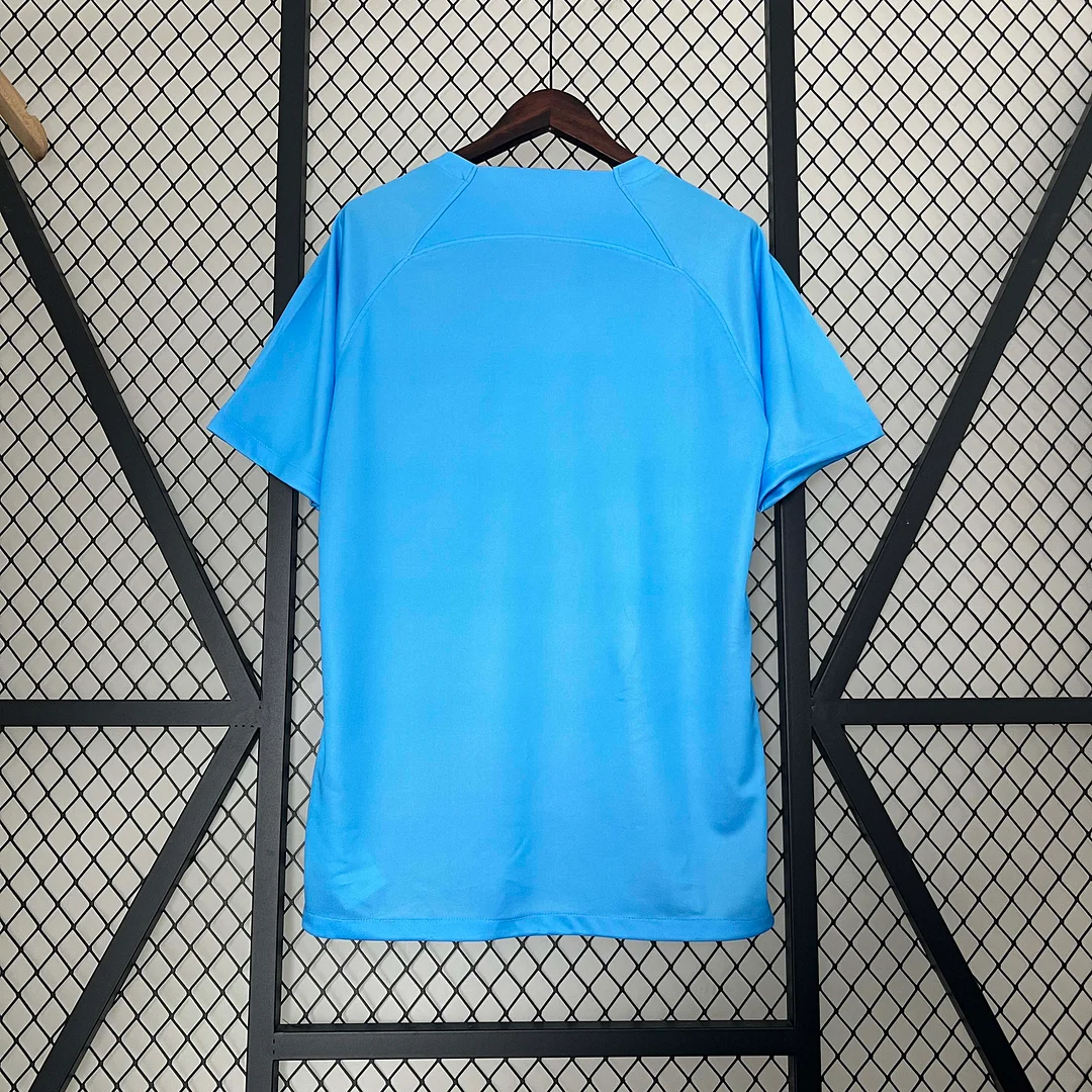 2024 Netherlands Soccer Jersey Special Football Shirt Fan version