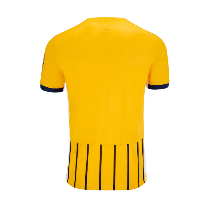 25/26 Brighton Hove Albion Away Football Shirt Fan version